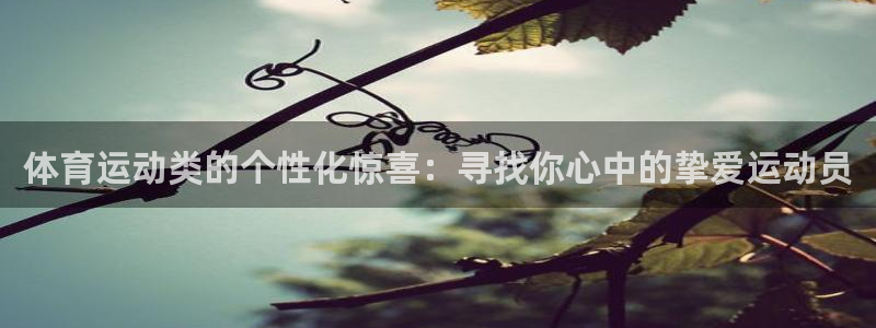球迷体育的收费方式
