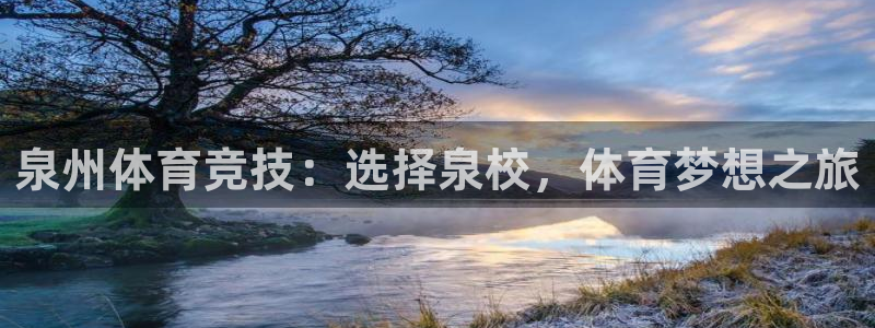 球迷体育手app