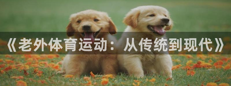 球迷体育官网