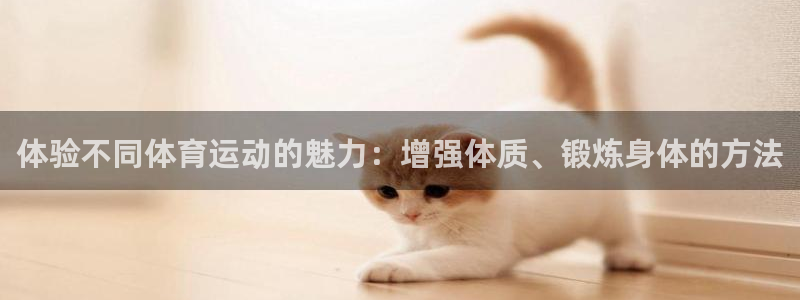 球迷体育怎么看回放