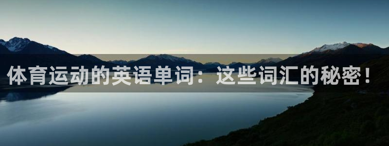 球迷体育手app