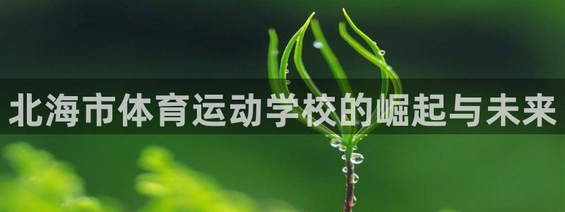 球迷体育