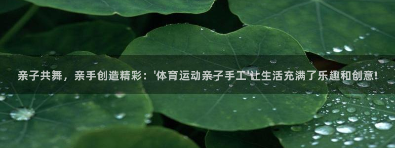 球迷体育