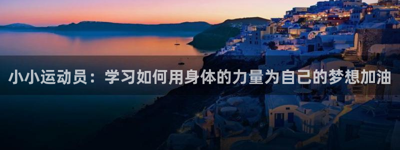 球迷体育怎么买票