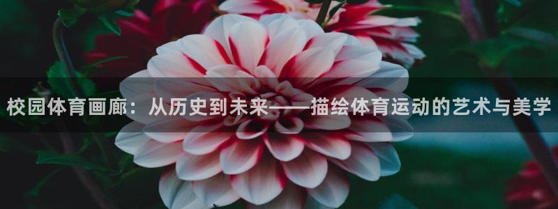 球迷体育手机版下载地址